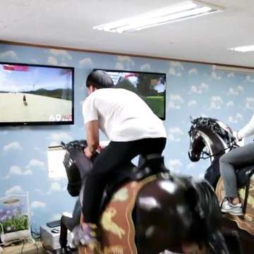 Fortis Horse Riding Simulator Offers a Variety of Options for Training and Therapy