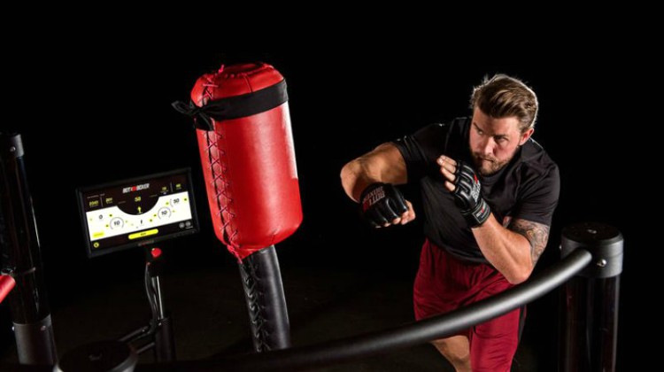 interactive boxing simulator