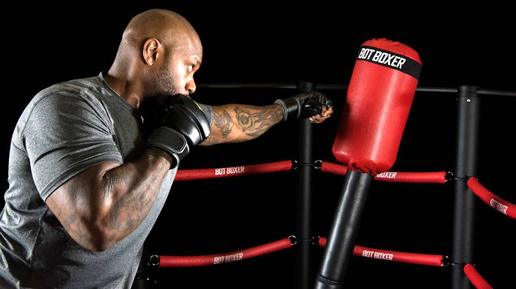 boxing simulator