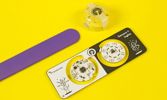 interactive toy