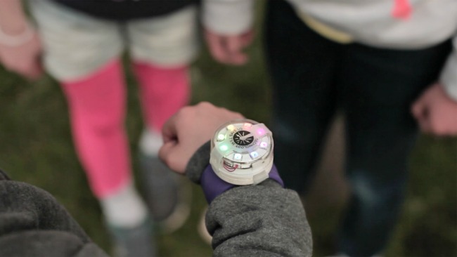 interactive toy