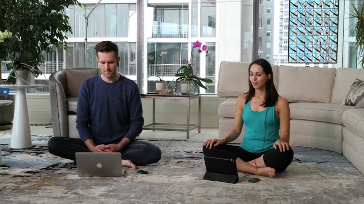 meditation interactive